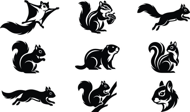 Squirrel and chipmunk silhouette vector icon set featuring black shapes of flying squirrel marmot and jumping rodent logo elements