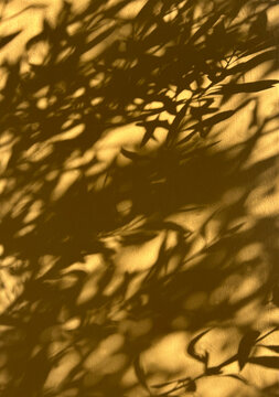 Abstract aesthetic background with natural olive tree leaf shadows cast on a warm golden wall, creating a serene, sunny, and minimalist organic overlay effect.