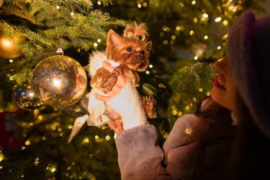 happy girl near a decorated New Year's tree