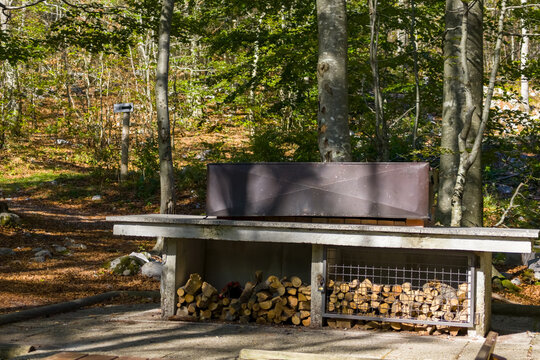 A permanent outdoor barbecue with stacked firewood stands beside a forest path in a deciduous woodland. Sunlight filters through the trees, creating a natural setting for grilling, picnics