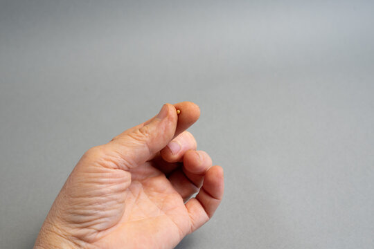 Tiny mustard seed in hand, symbol of faith, hope and spiritual growth