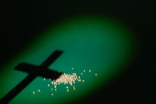 Cross Shadow and Mustard Seeds Representing the Parable of the Mustard Seed