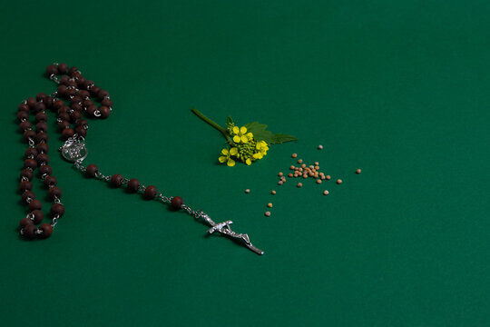 Mustard Seeds, Mustard Plant Sprig and rosary on Green Background, Biblical Symbol of Faith