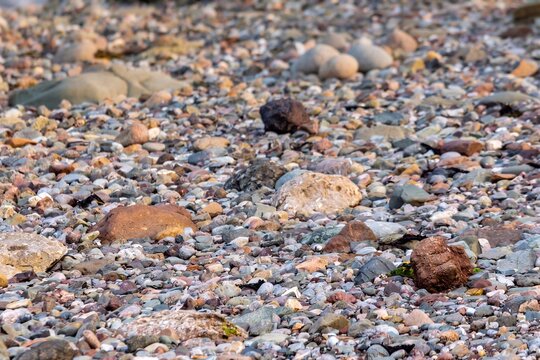 Close up view of multi colored pebbles and smooth rocks scattered across a coastal beach