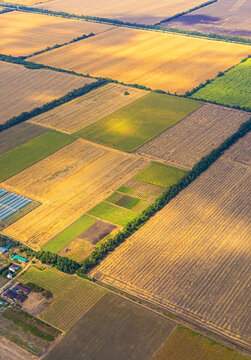 Aerial view of agricultural fields forming a farmland pattern