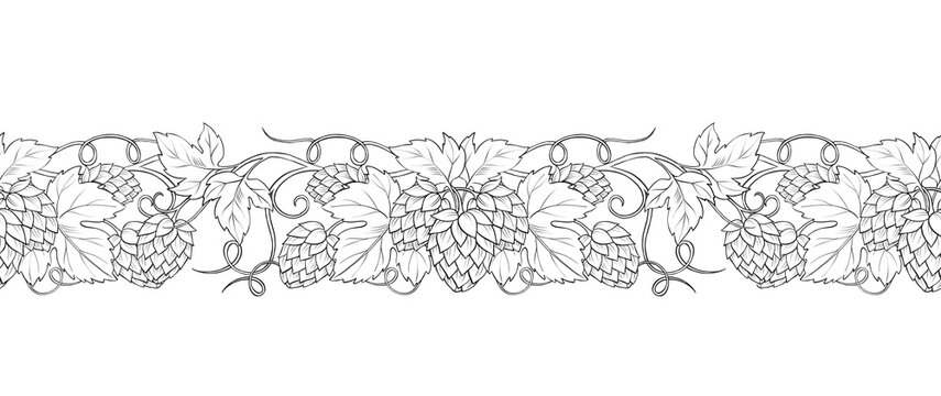 Hand-drawn illustration of a seamless botanical hop vine border