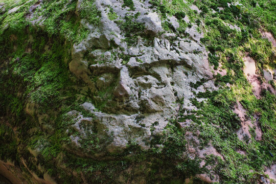 moss on stone
