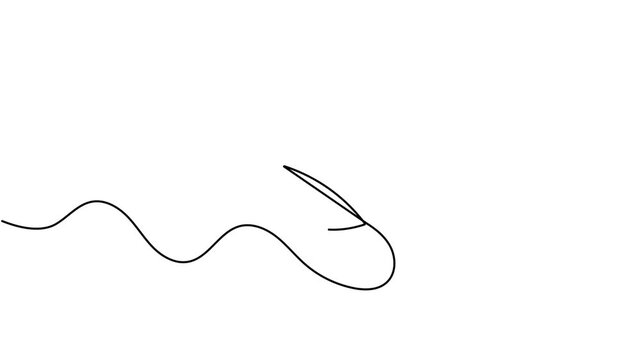 Modern leaf sprout icon sign continuous one line drawing moving on white background minimalist leaves of tree branch eco friendly sustainable symbol animation video