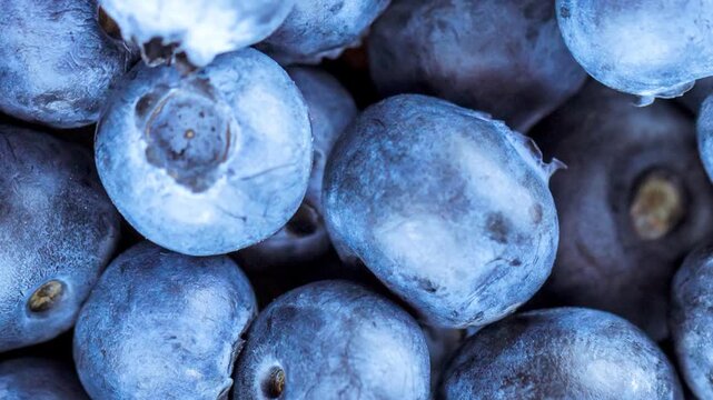 Detailed macro view of ripe fresh blueberries filling the frame as the camera slowly moves across the fruit, revealing natural bloom, texture, and deep blue tones