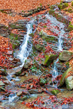 small waterfall in the autumn forest. mossy boulders among fallen foliage. nice autumnal scenery of Transcarpathia to travel.