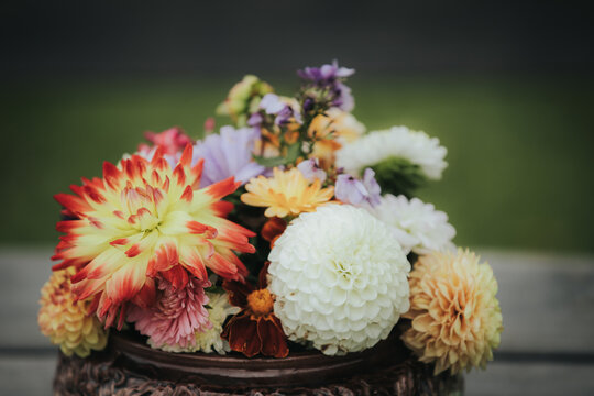 Colorful arrangement of various flowers including dahlias, zinnias, and chrysanthemums displayed in a rustic wooden bowl on a blurred green background