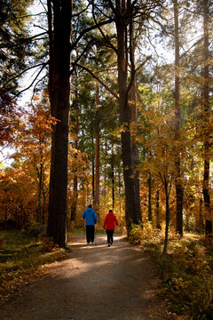 Two people enjoying an active lifestyle on a forest path during fall. Kouopio Finland