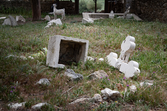 Deserted, abandoned broken Christian orthodox stone crosses and grave markers in a grassy rural cemetery with trees and a stone wall.