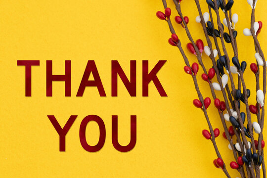 Thank you card of retro USA red, white and blue patriotic American berry branch border on yellow