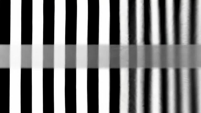 High contrast black and white vertical stripes.