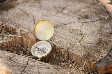 Fototapeta premium Life direction and career path vintage brass compass on a rustic tree stump navigation exploration and finding purpose in nature