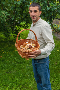 Picking mushrooms in the forest. Selective focus.