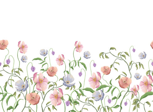 seamless border wild flower watercolor hand draw