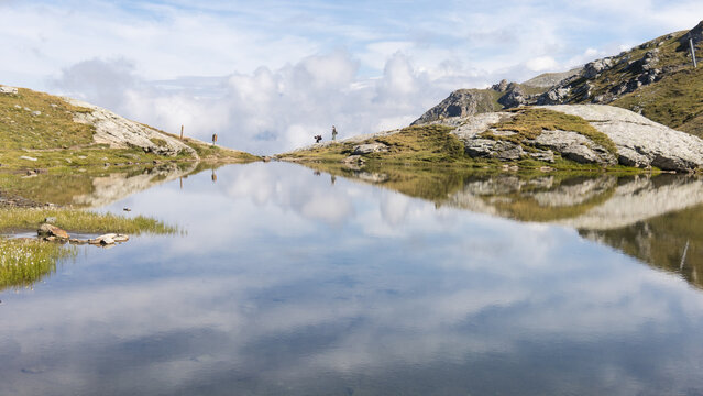 Le lac des Moutons aux Arcs, en Savoie : un lac d'altitude dans les Alpes fran&ccedil;aises, entour&eacute; de montagnes rocheuses et de vaches. Reflets des montagnes &mdash; dont le mont Blanc &mdash; dans les eaux du lac.