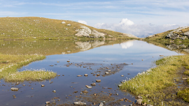 Le lac des Moutons aux Arcs, en Savoie : un lac d'altitude dans les Alpes fran&ccedil;aises, entour&eacute; de montagnes rocheuses et de vaches. Reflets des montagnes &mdash; dont le mont Blanc &mdash; dans les eaux du lac.