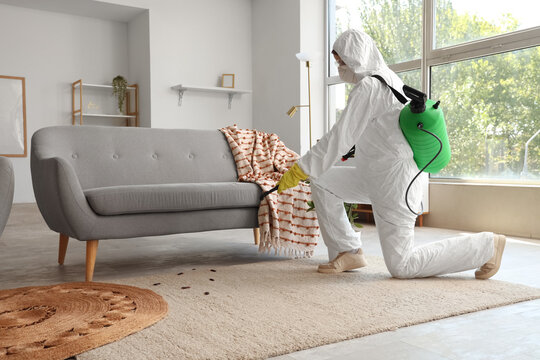 Female pest control specialist carrying out cockroach disinfection in room