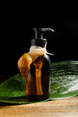 Giant Achatina snail, tropical leaf and bottle of cosmetic product on dark wooden background, closeup © Pixel-Shot