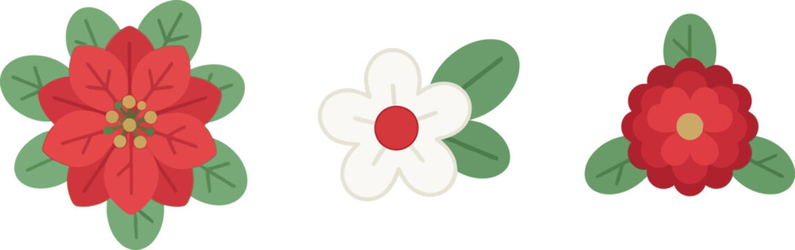 Christmas flowers vector illustration set with poinsettia and camellia with green leaves