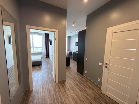 Modern Apartment Hallway Interior with Gray Walls and Wooden Floor