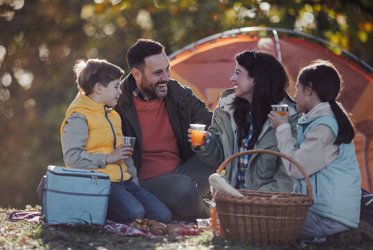 Family enjoys picnic in forest