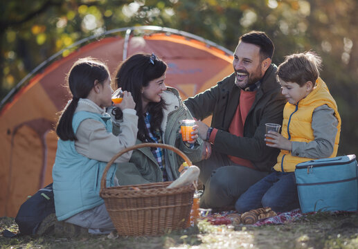 Family enjoys picnic in forest