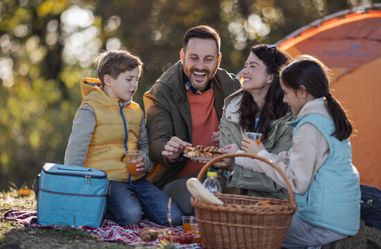Family enjoys picnic in forest
