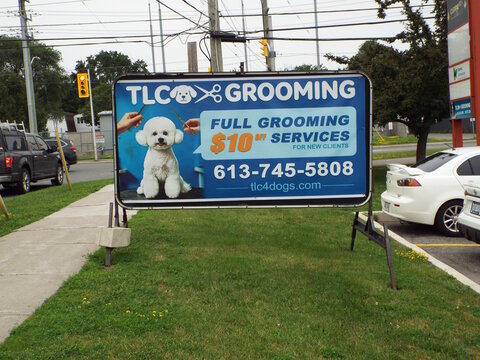 Gloucester, Ontario, Canada &ndash; July 12, 2026: An outdoor view showing a blue promotional business sign for "TLC Grooming" placed on a grassy roadside lawn on Canotek Road.