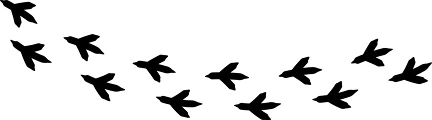 Obraz premium Bird footprint icon, chicken paw vector track, turkey foot print line pattern