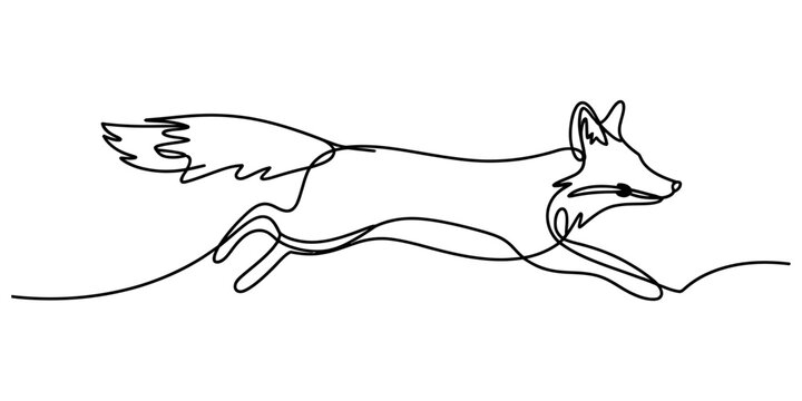 Continuous single line drawing of a running fox isolated on a white background Vector, illustration