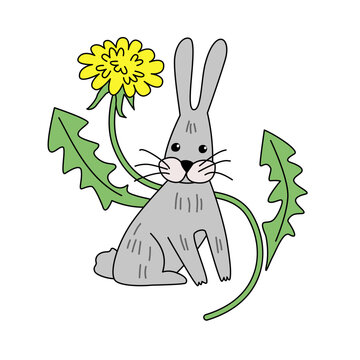 Cute grey hare sitting next to a dandelion isolated on white background vector illustration in hand drawn outline style.