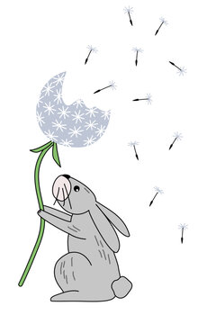 Cute grey hare holding a blowball dandelion with flying seeds, isolated on a white background vector illustration in outline hand drawn style.