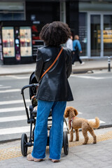 Fototapeta premium Adult with a stroller and a small dog on a leash waiting beside a zebra crossing, illustrating pedestrian access and everyday movement with children and pets