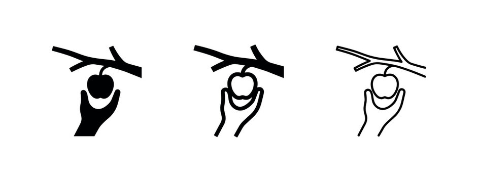 Hand Picking Apple Fruit Icon Set