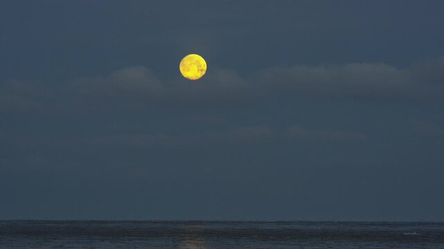 Wintering waterfowl in Baltic Sea. Freezing sea in moonlight. Bright moon over calm winter ocean thin clouds, distant horizon icy reflection