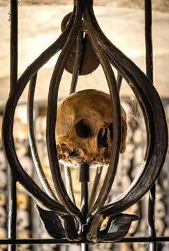 Skull Crypt (Krypta Czaszek), located in the underground chambers of St. Bridget's Basilica in Gdansk, Poland