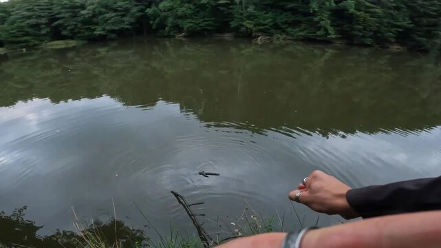 POV fisherman using a long tree branch to reach into water and free snagged fishing tackle on a forest lake shore