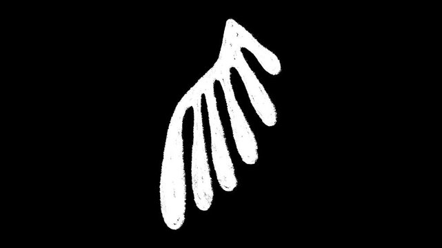 Hand-drawn white chalk abstract leaf shape element drawing on alpha 10
