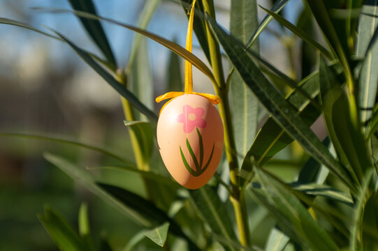 Decorative hanging egg among green foliage