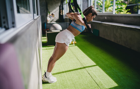 High intensity workout TRX suspension pushup posture displays athletic Hispanic female athlete holding plank position on suspension straps inside gym, practicing active wellness goals