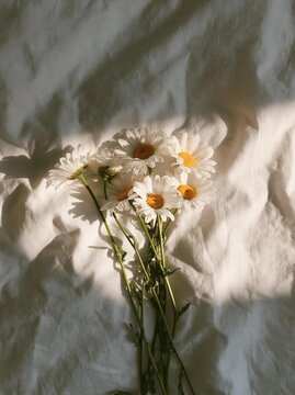 Close-up of a bunch of white daisies with yellow centers and green stems. the flowers are arranged in a bunch on a white crumpled paper background.