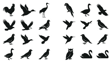 Obraz premium Black silhouettes of various bird species including owls and eagles isolated on a clean white background