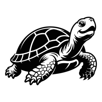 A detailed turtle illustration presented as a black silhouette