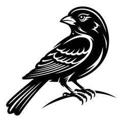 Obraz premium A detailed bird illustration presents a striking black silhouette
