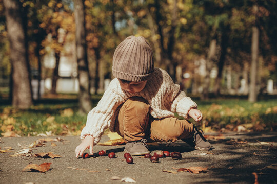 Little boy playing with chestnuts on asphalt path in sunny autumn park