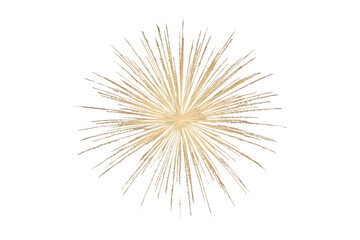 Fototapeta premium Delicate golden radial light burst with many thin rays